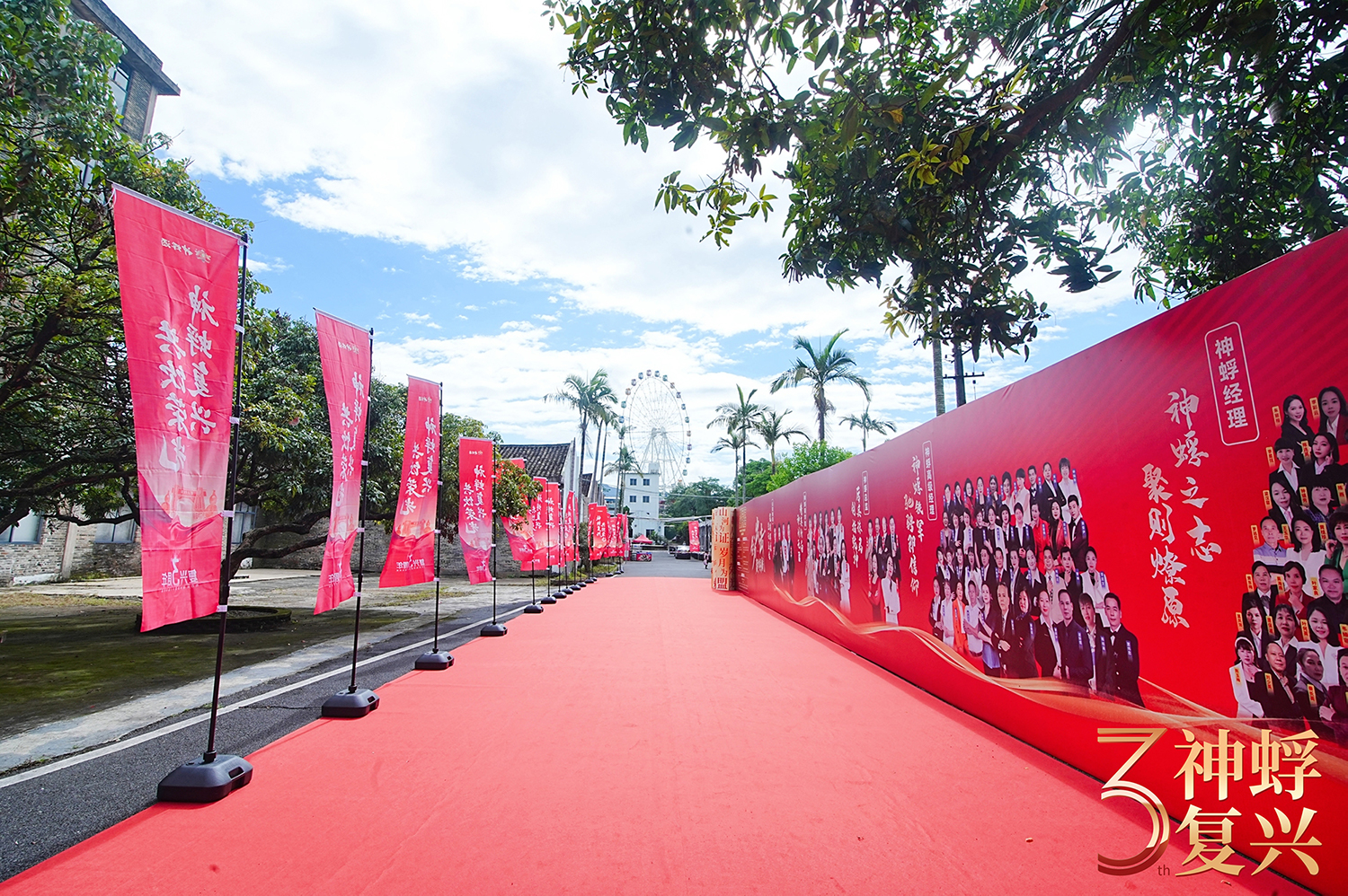 LHJ09080-opq3908509646.jpg